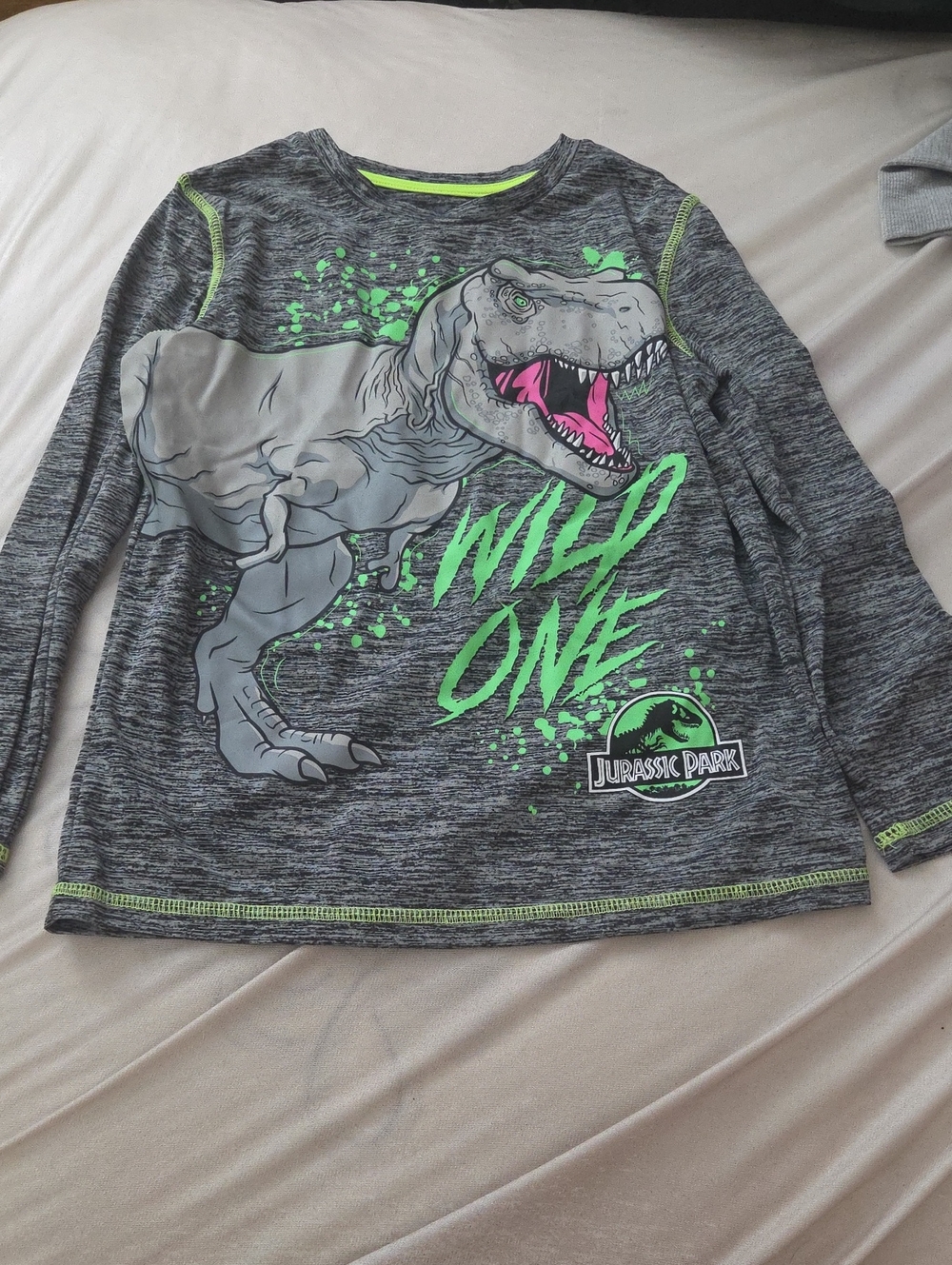 2 for $10 Jurassic Park Gray 'Wild One' Dino Long Sleeve - Size 8
